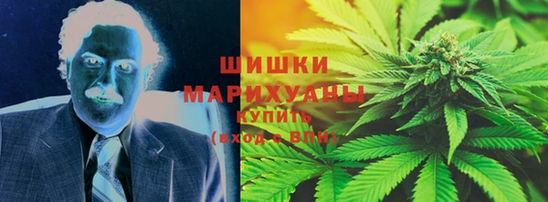 Альфа ПВП Аркадак