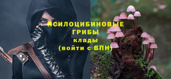 Альфа ПВП Аркадак
