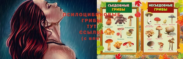 Альфа ПВП Аркадак