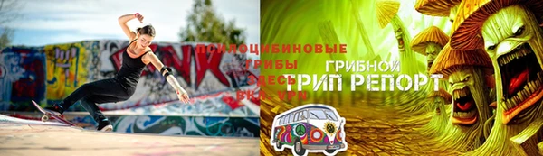 Альфа ПВП Аркадак